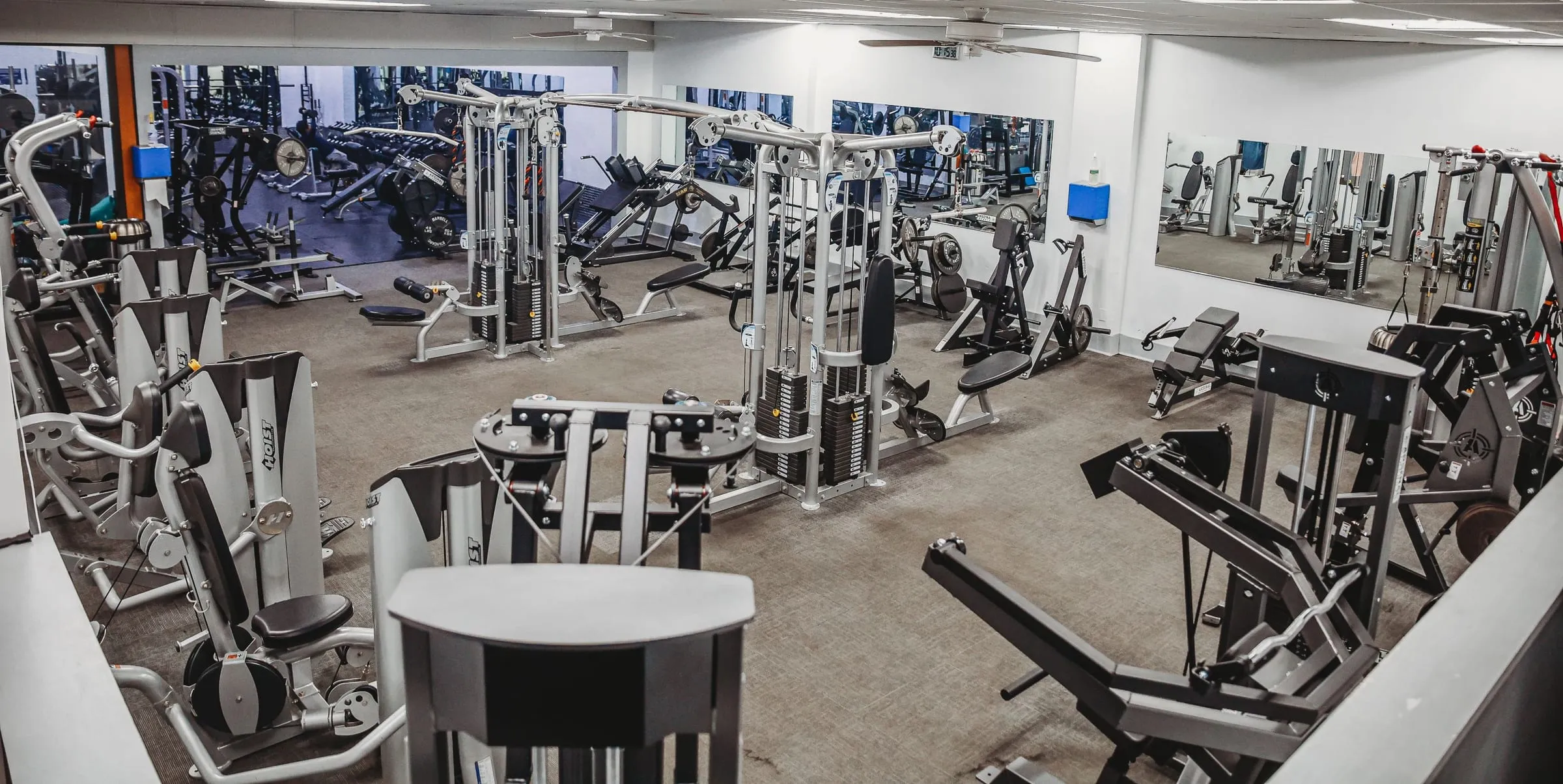Free weights and strength equipment